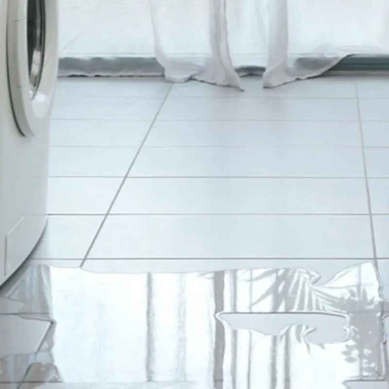 Appliance Leak Cleanup in Taylor County, WV