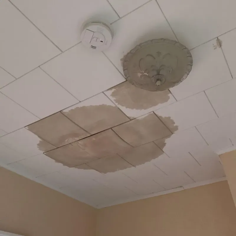 Ceiling Water Damage Repair in Taylor County, WV