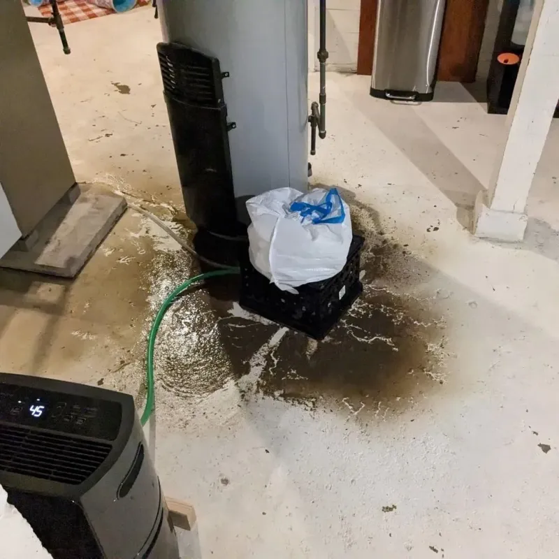 Sewage Backup Cleanup Service in Taylor County, WV